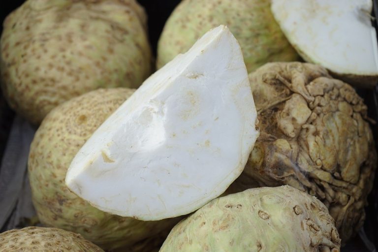 Rapa bianca proprietà: come usarla in cucina