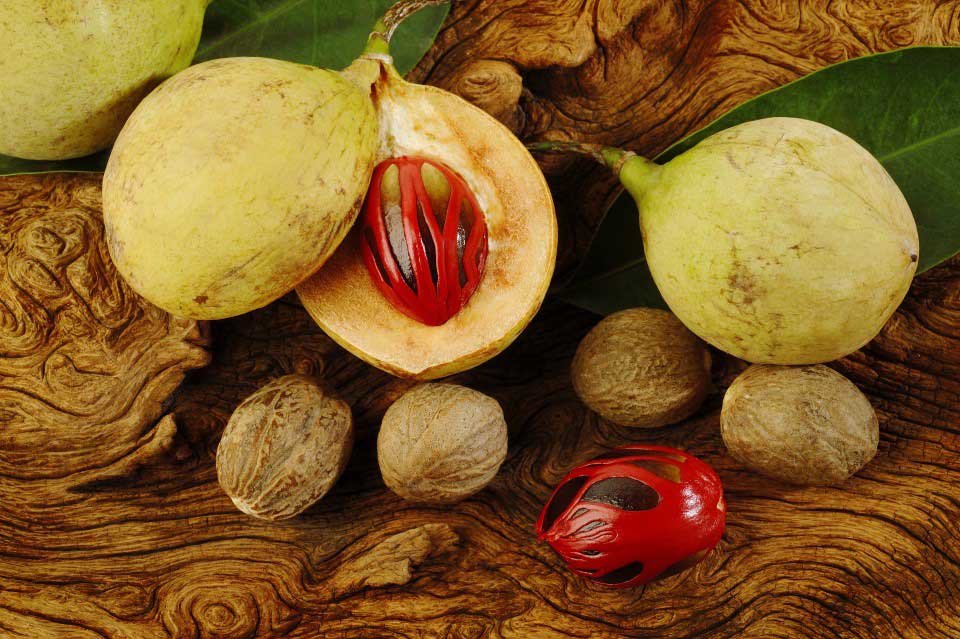 Noce moscata fresca