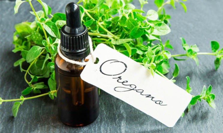 Olio essenziale di origano benefici e proprieta