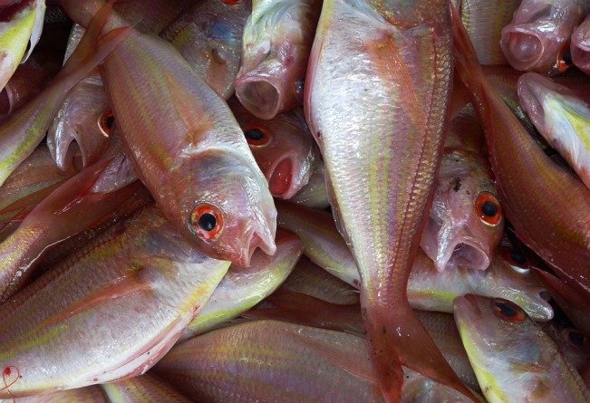 Artrite reumatoide: mangiare pesce aiuta a combatterla