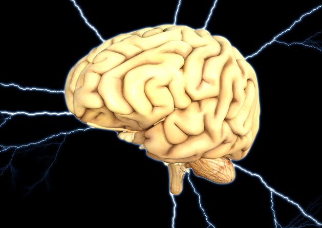 Come mantenere giovane il cervello: i 4 alimenti che migliorano le funzioni cognitive