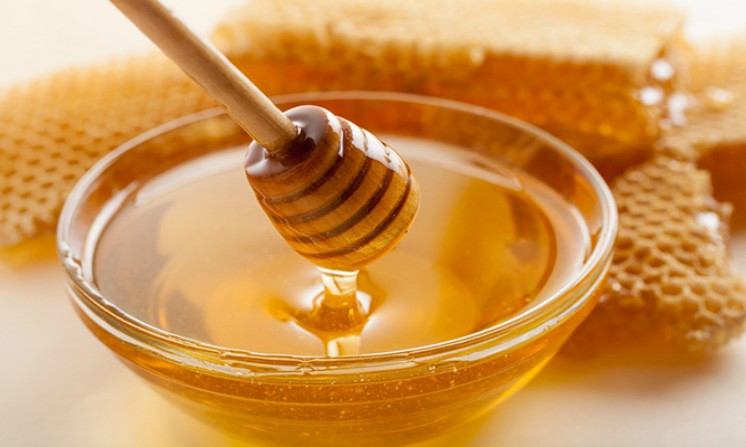 Miele di melata: proprietà terapeutiche ed usi