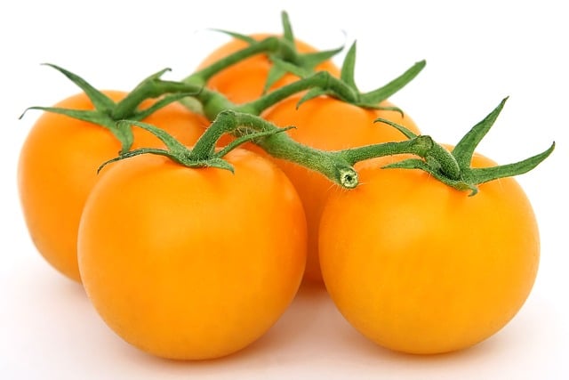 pomodoro giallo