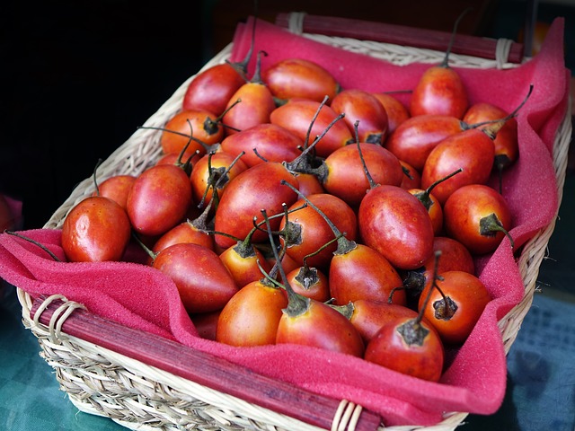 tamarillo frutto