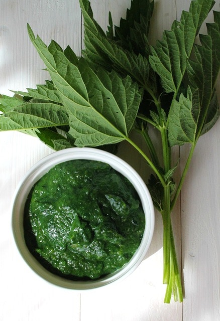 pesto di ortiche con una foglia di ortica