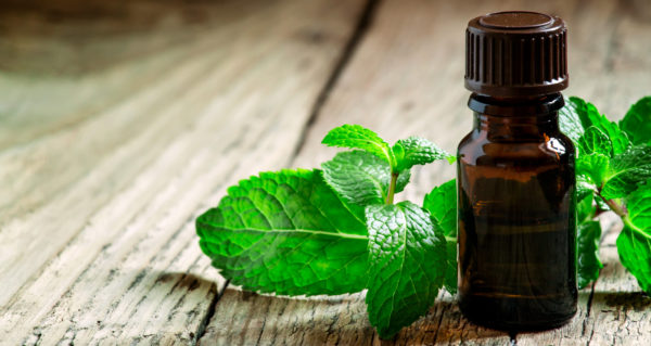 Olio essenziale alla menta contro la febbre alta