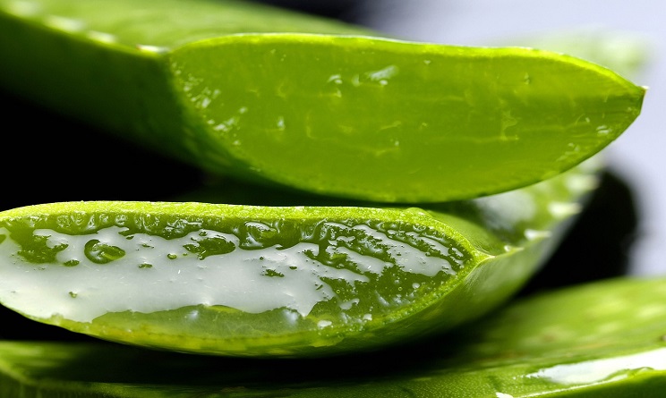 DEPURARSI CON L'ALOE VERA