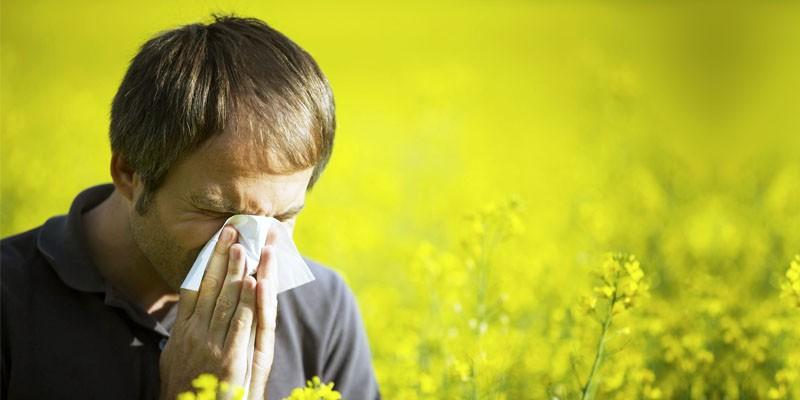 Allergie Giugno, come sconfiggerle con rimedi naturali