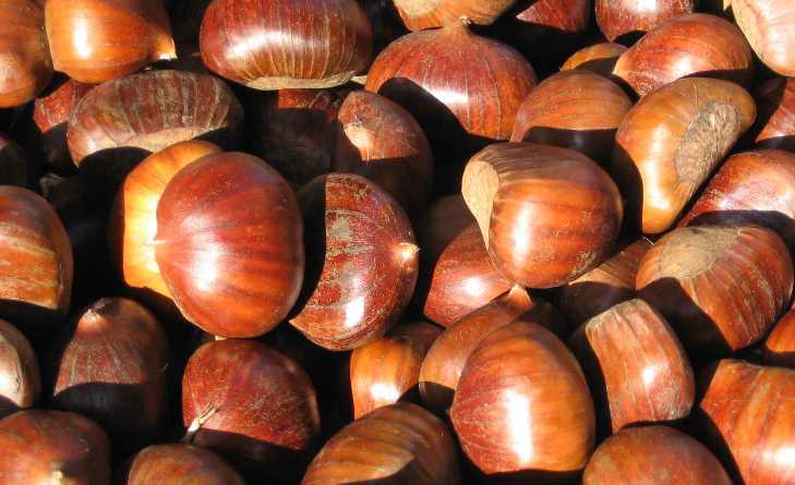 rimedi naturali con le castagne