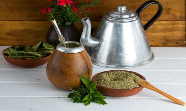 Tisana alla Yerba Mate, proprieta, benefici e ricetta fai da te