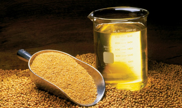 Olio di soia, come usarlo, proprieta e benefici