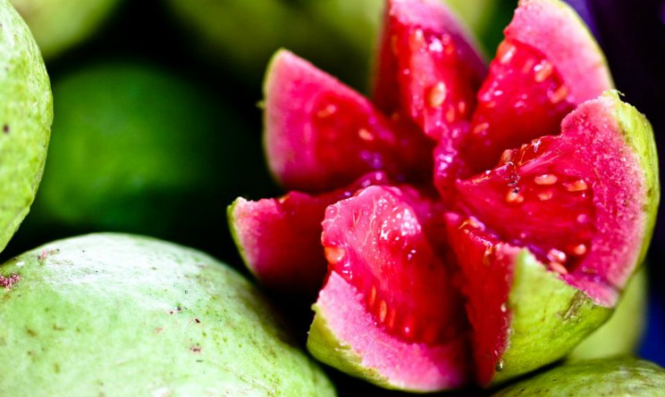 Guava proprieta benefici per stomaco e intestino