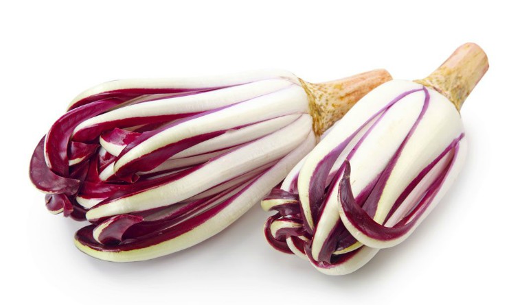 Radicchio tardivo proprieta benefici per il corpo