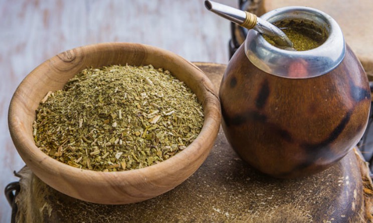 Yerba mate, proprieta benefici e controindicazioni