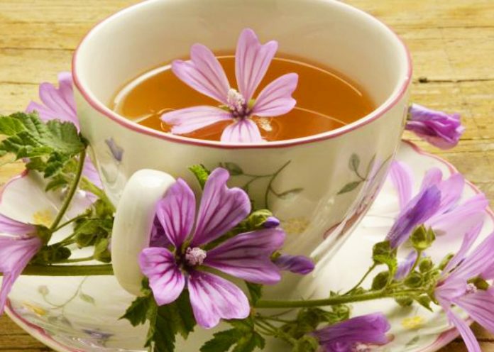 Infuso di Malva: un potente antinfiammatorio per l’organismo