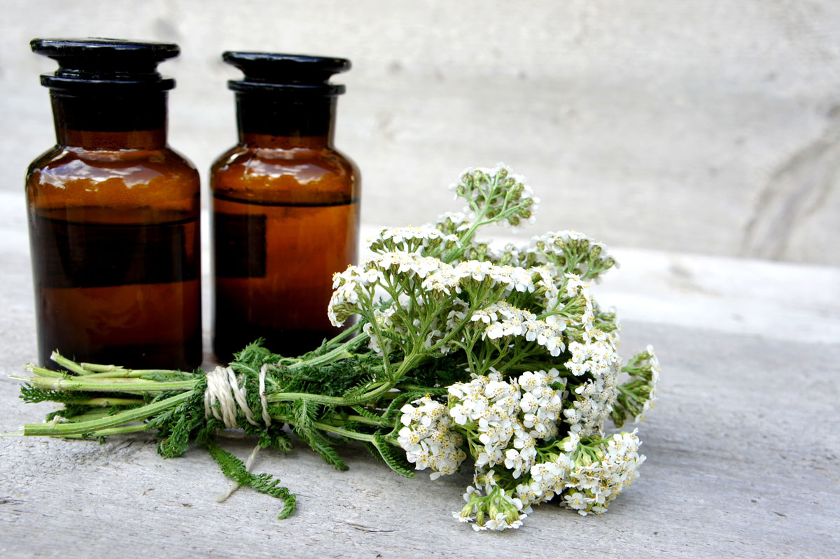 Achillea: proprietà benefiche, come assumerla e controindicazioni