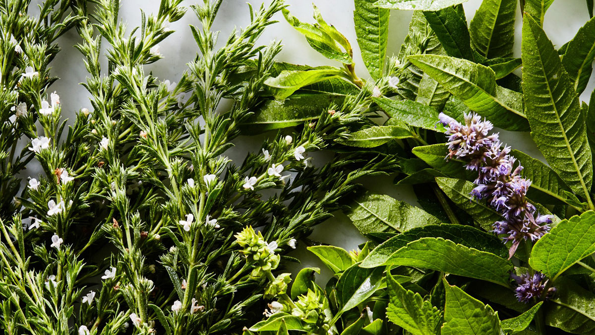 Salvia, timo e rosmarino: 3 piante aromatiche super benefiche