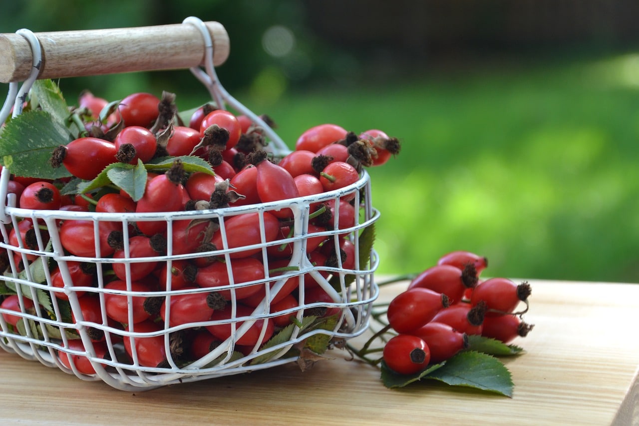 tisane naturali fai da te