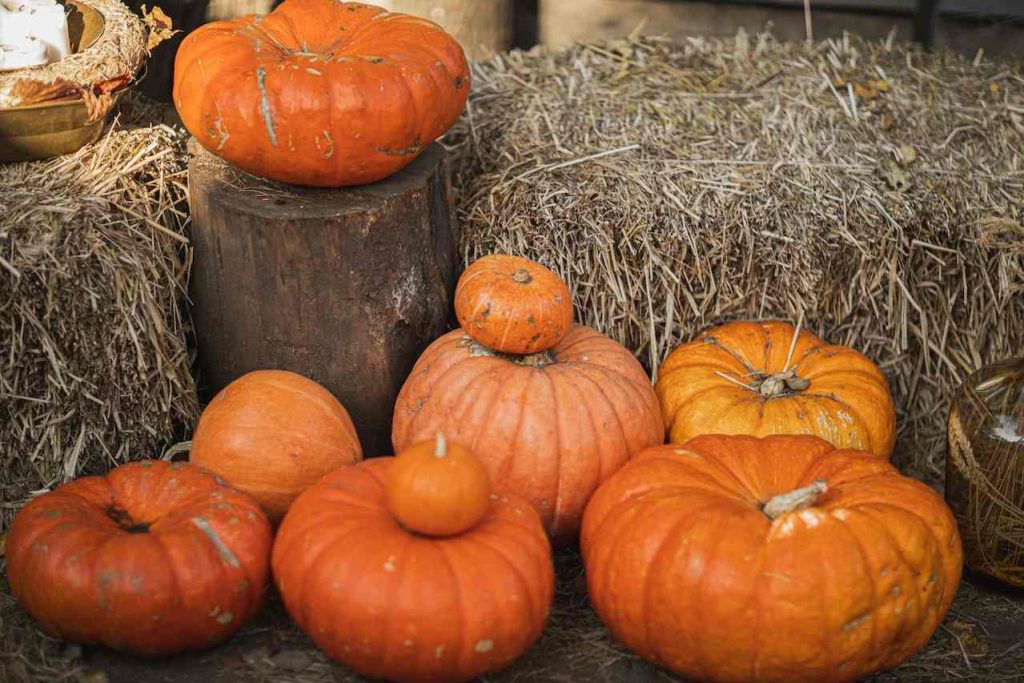 cibi di stagione ottobre