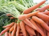 Proprietà carote
