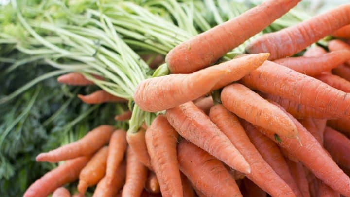 Proprietà delle carote: i benefici e le controindicazioni.