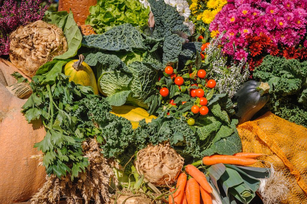 alimenti naturali per la perdita dei capelli