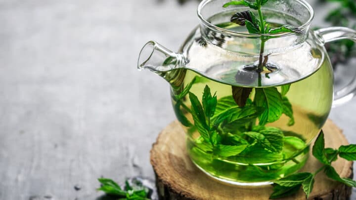 Tisane fredde sai cosa sono? Scopri le proprietà e come prepararle