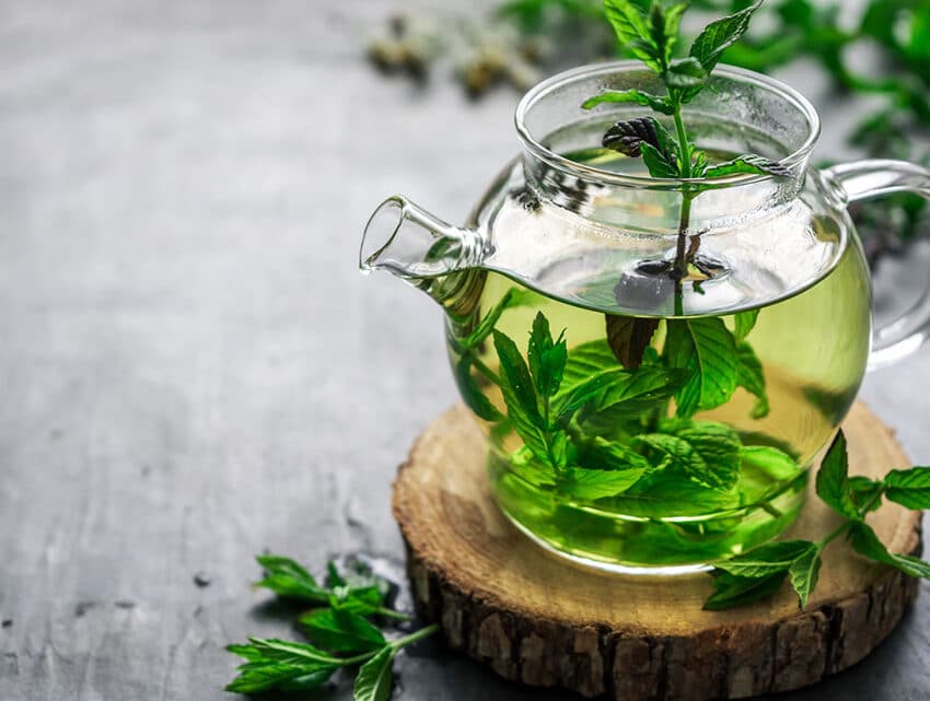 Tisane fredde sai cosa sono? Scopri le proprietà e come prepararle