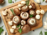 Tipi di funghi: classificazione, commestibilità, accortezze da sapere