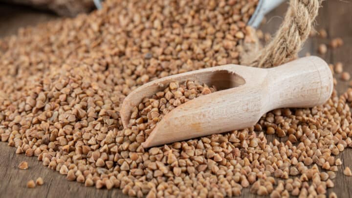 Grano saraceno: proprietà, benefici e come cucinarlo